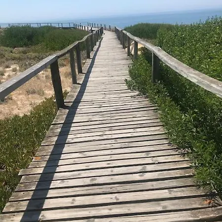 T1 Sao Pedro De Moel
